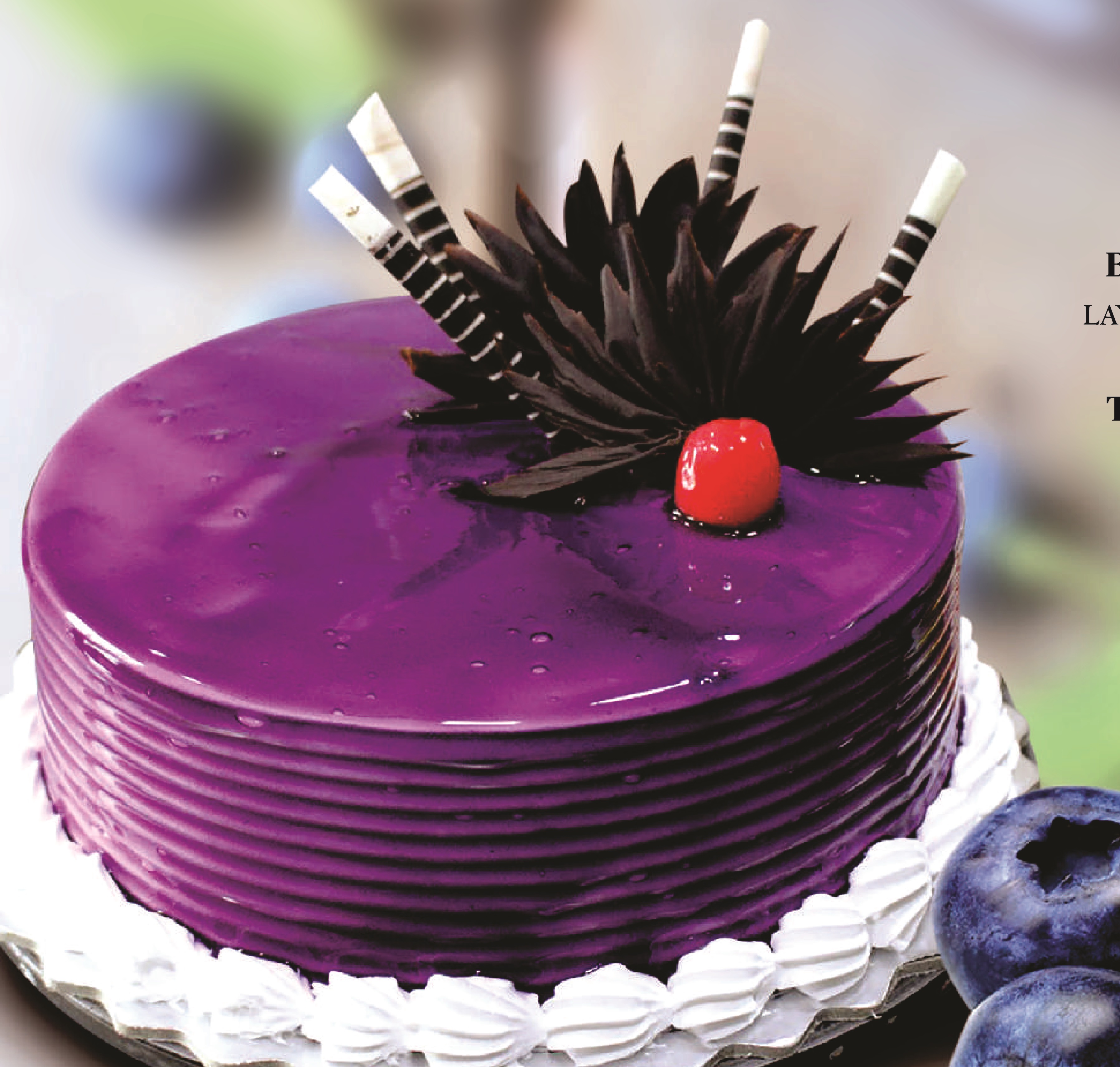 Two-tone Rosette Cake — Baked Cravings