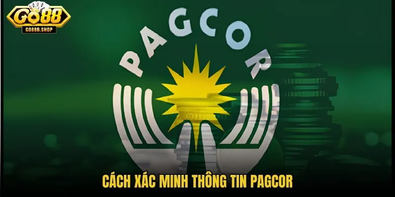 cach-xac-minh-thong-tin-pagcor