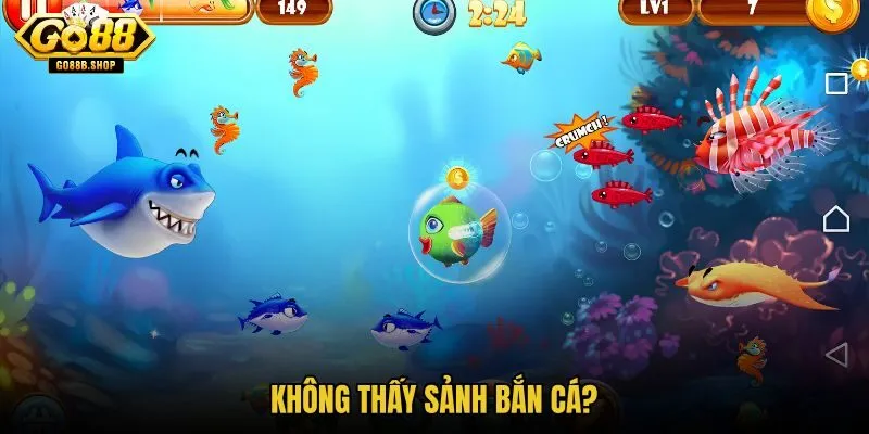 khong-thay-sanh-ban-ca